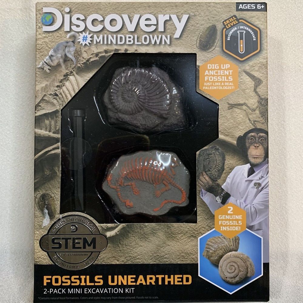 Discovery MindBlown Fossils Unearthed 2 Pack Mini Excavation Kit STEM Skill Kids